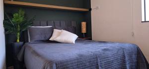 a bedroom with a bed with a blue comforter and a plant at Apartamento Confortável Inteligente in Poços de Caldas