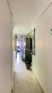 Fotografie z fotogalerie ubytování Hotel Linaje Popayán v destinaci Popayan