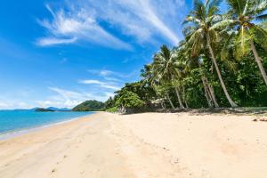 a sandy beach with palm trees and the ocean at Belle Escapes Mer-Sea in Trinity Beach