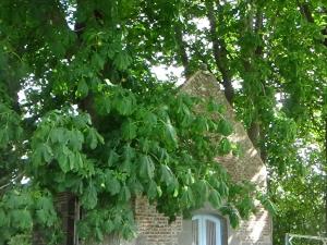 Vonkajšia záhrada v ubytovaní Gîte de charme à Leval, 4 chambres, cheminée, cour privative, proche nature et randonnées - FR-1-510-175