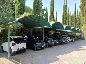 Fotografie z fotogalerie ubytování Montaione Oasis Shared Villa v destinaci Montaione
