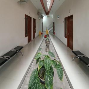 a hallway with a plant in a vase on a table at RedDoorz at Syariah House Purwokerto in Purwokerto