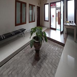a potted plant sitting in the middle of a hallway at RedDoorz at Syariah House Purwokerto in Purwokerto +35 photos