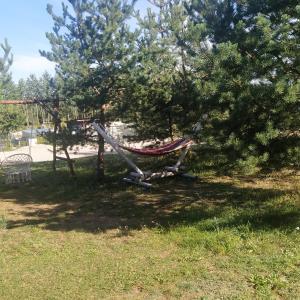 Vonkajšia záhrada v ubytovaní Domek na Mazurach + 4 fotografie