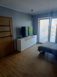 Televízia a/alebo spoločenská miestnosť v ubytovaní Apartament Perła Kutna