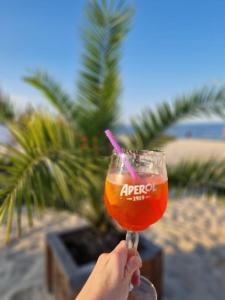 Nápoje v ubytování Reetdach Ferienhaus Anni