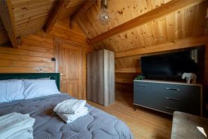 TV a/nebo společenská místnost v ubytování Ktima To Alliotiko - Lofou