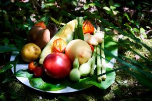 Cibo presso il ryokan o nelle vicinanze