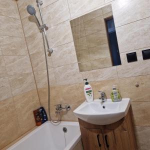 Ένα μπάνιο στο Wielkopolska Apartment