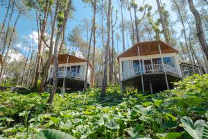 two cottages in the middle of a forest at La Pino Mount Batur and Hot Spring in Bangli +53 photos