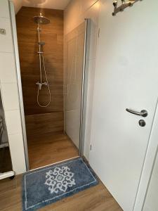 a bathroom with a shower and a door with a rug at Ferienwohnung Altstadtblick in Wolframs-Eschenbach