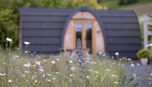 a small house in a garden with a field of flowers at Isla Pod, Kilry eco pods in Blairgowrie +5 photos