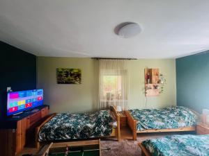 a room with two beds and a flat screen tv at Arany Vendégház in Szarvas +98 photos