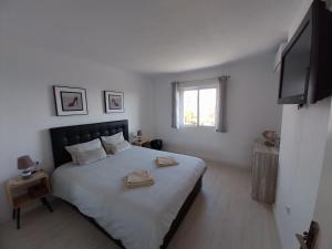 Posteľ alebo postele v izbe v ubytovaní Beach Front Sea View Punta Prima