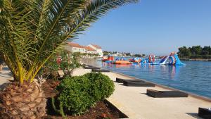 a palm tree next to a body of water with boats at Apartments Villa Eden in Preko