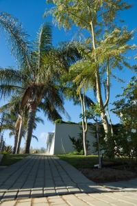 a sidewalk with palm trees and a building at Monte Vidéo Guesthouse in Wellington
