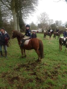 un niño está sentado sobre un caballo en un campo en Innisfree B&B, en Bunratty