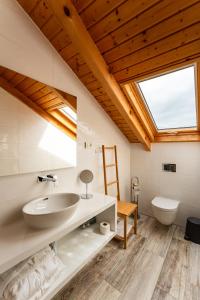 a bathroom with a sink and a toilet and a skylight at Bed&Breakfast Vinarija Coner in Peščenik +124 photos