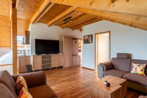 a living room with a couch and a tv at Bed&Breakfast Vinarija Coner in Peščenik
