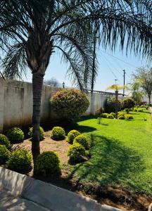 una palmera en un jardín con arbustos en Dehoop Luxury Lodge, en Burgersfort