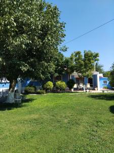 a park with chairs and a tree and a building at TO ARCHONTIKO La maison de ville in Ávaton