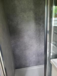 a glass shower door in a bathroom at Bigge Elements Tinyhaus 1 "Erde" in Olpe