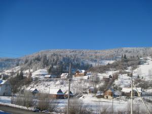 a snowy hillside with a mountain range at Guest House Stari Druzy in Slavske