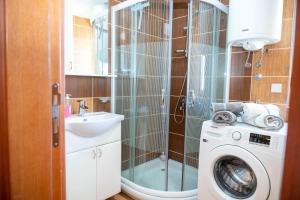 a bathroom with a washing machine and a sink at Flowers Oasis Studio Vrnjačka Banja in Vrnjačka Banja