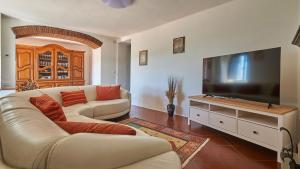 Una sala de estar con un sofá y un televisor de pantalla plana. en Casanova di Bricciano, en Gaiole in Chianti