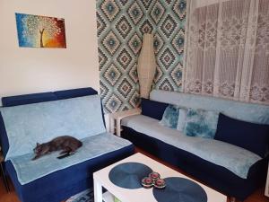 Posezení v ubytování Jankovići Ravni Zlatibor