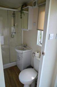a small bathroom with a toilet and a sink at Gezellig vakantiechalet in bosrijke omgeving op de Veluwe in Epe