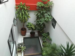 Zahrada ubytování Hotel Sogamoso Real