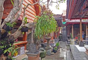 Zahrada ubytování Mahaguna Ubud
