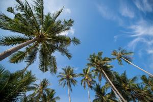 Fotografie z fotogalerie ubytování Seavana Koh Mak Beach Resort v destinaci Ko Mak + 37 fotografií