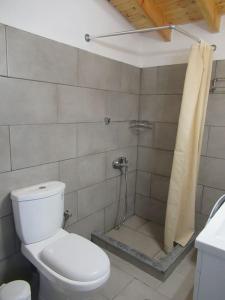 a bathroom with a toilet and a shower at Cozy Beachfront Escape in Lilikas in Lilikás