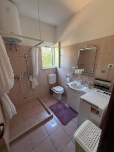 ein Badezimmer mit Waschbecken, Toilette und Spiegel in der Unterkunft HOLIDAY HOUSE Ose in Mirce + 49 Fotos