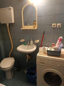 Koupelna v ubytování GOLD Apartman