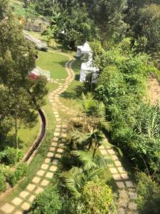 an overhead view of a path in a garden at Ole Sidai Riverine Gardens in Karatina +11 photos