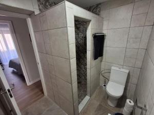 a small bathroom with a toilet and a shower at Apartamentos Tierra Lavanda in Brihuega +77 photos