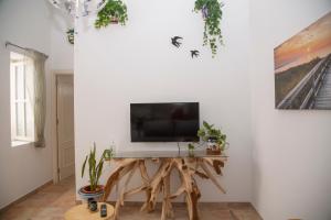 TV a/nebo společenská místnost v ubytování Apartamento en pleno centro historico