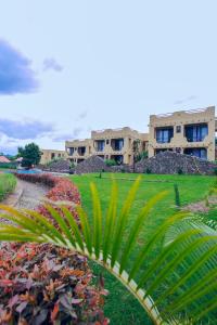 a palm tree in front of a building at The Maridadi Hotel in Moshi