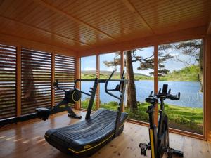 Fitness centrum a/nebo fitness zařízení v ubytování Liss Ard Estate