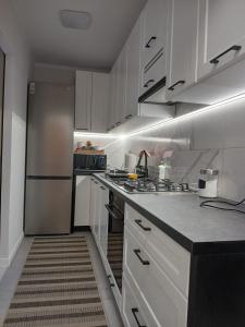 Kuchyň nebo kuchyňský kout v ubytování Apartament Euro Bytom