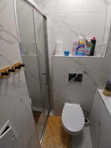 Koupelna v ubytování Apartament Euro Bytom