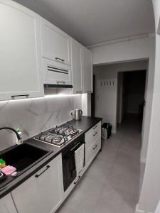 Kuchyň nebo kuchyňský kout v ubytování Apartament Euro Bytom