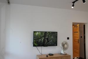 Televízia a/alebo spoločenská miestnosť v ubytovaní Apartment Jerzmanowskiego Krakow