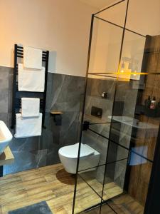 a bathroom with a toilet and a glass shower at A7 Apartment 2 in Dätgen