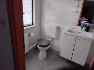 Koupelna v ubytování Hochwald EnSuite + 26 fotografií