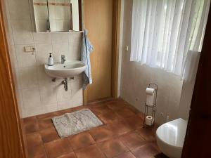 a bathroom with a sink and a toilet at Landhof Lindner in Lüptitz