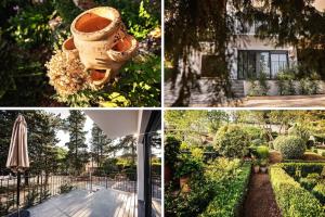 Zahrada ubytování Apartman Oleandar